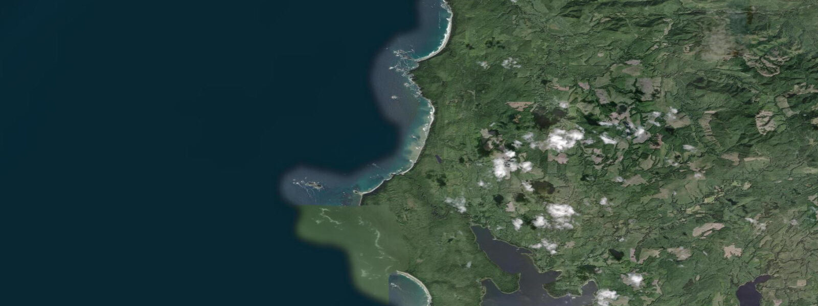 Satellite view of the coast near Cape Alava