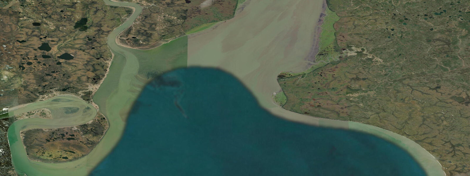 Satellite view of the coast near Clarks Point