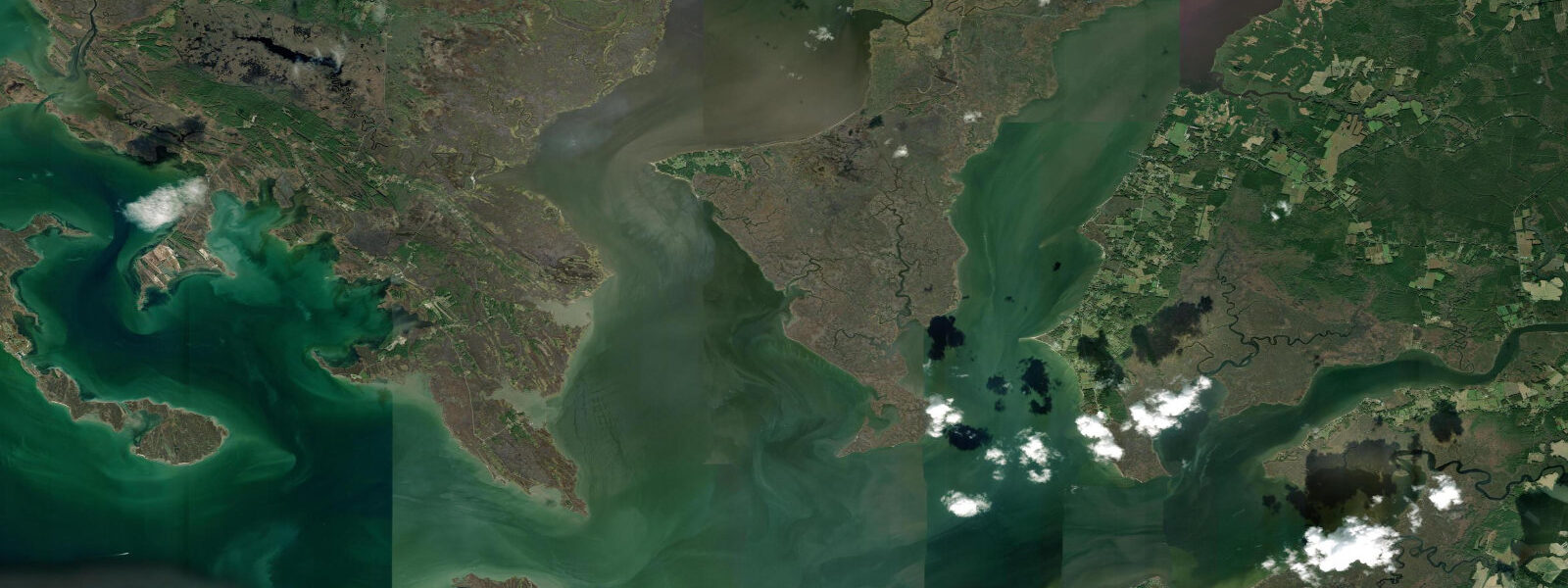 Satellite view of the coast near Greys Island