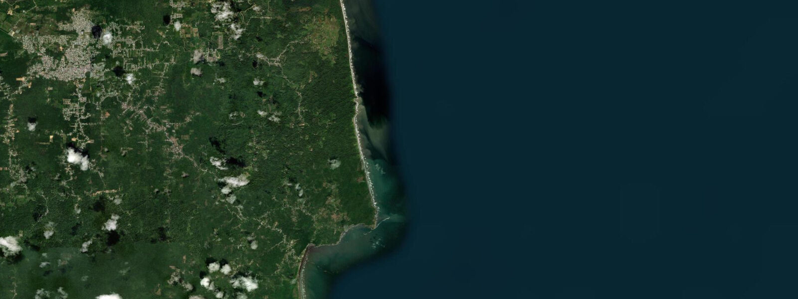 Satellite view of the coast near Manzanilla Beach