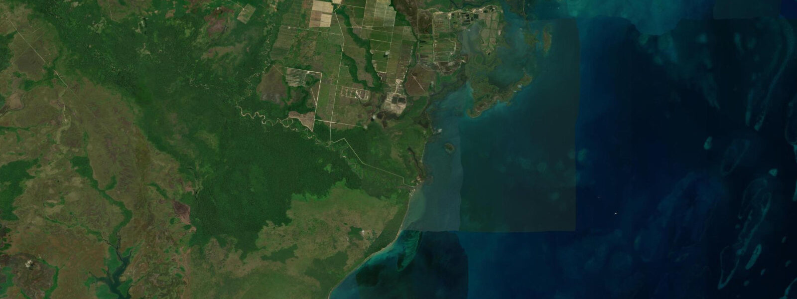 Satellite view of the coast near Monkey River, Belize