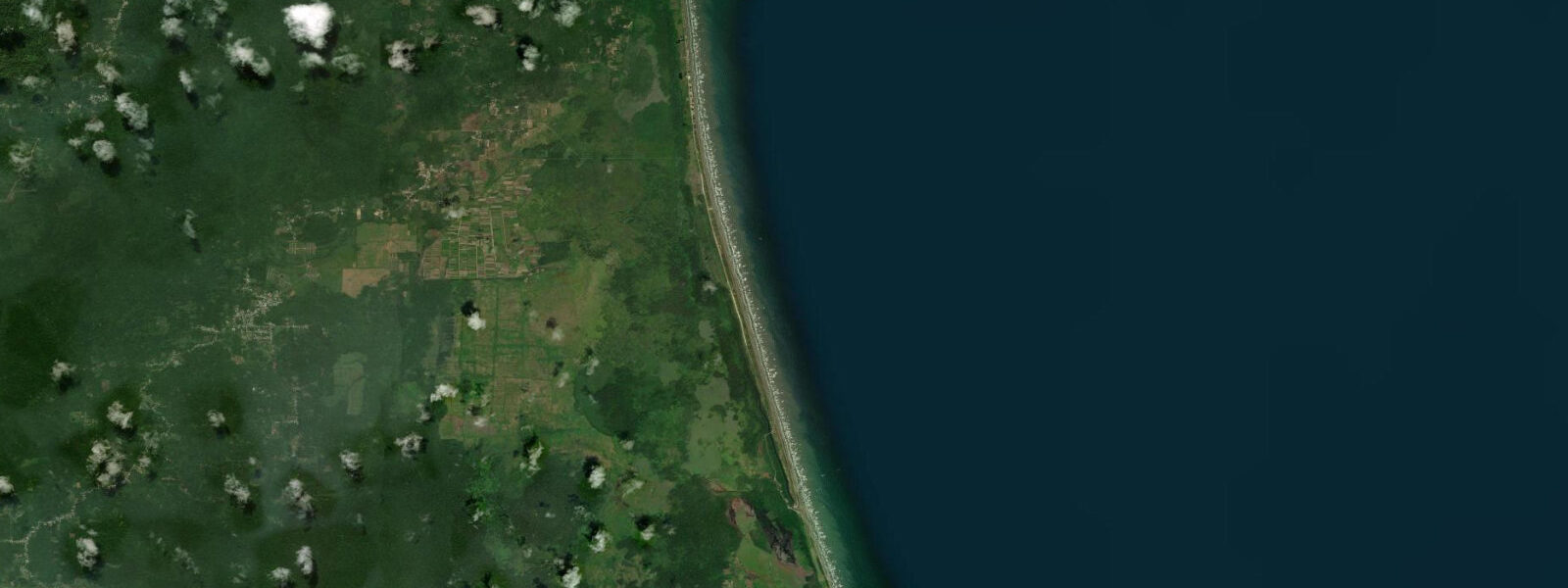 Satellite view of the coast near Nariva Swamp