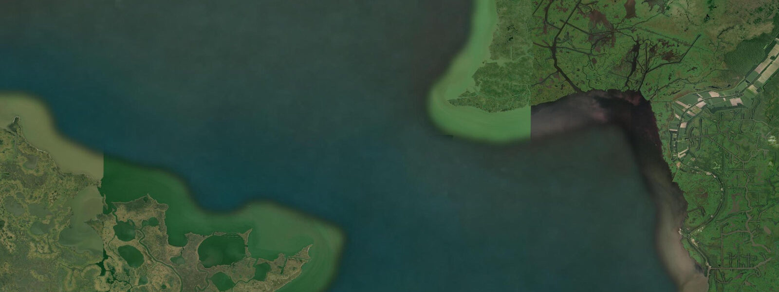 Satellite view of the coast near Point No Point