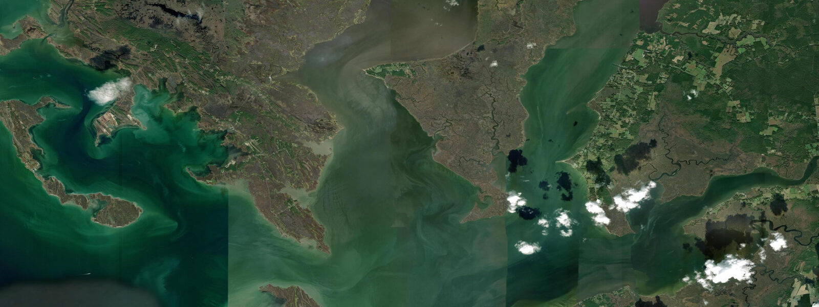 Satellite view of the coast near Poplar Island
