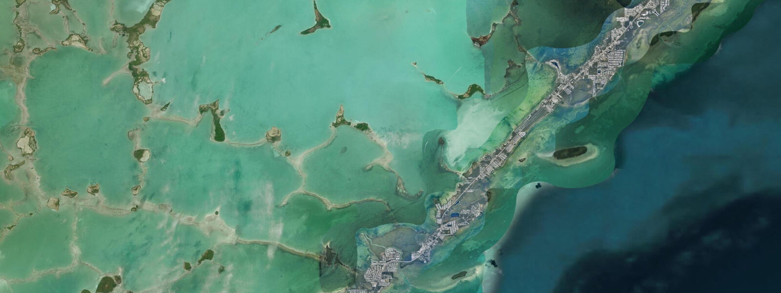 Satellite view of the coast near Tavernier
